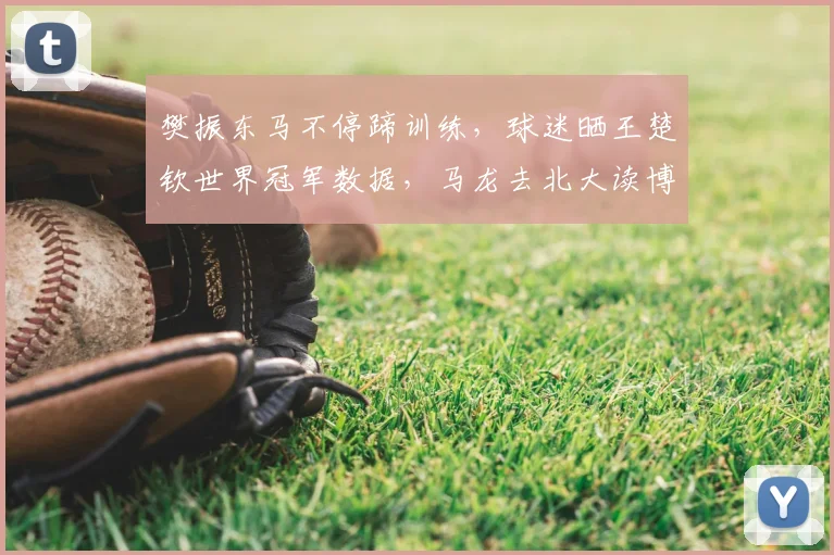 樊振东马不停蹄训练，球迷晒王楚钦世界冠军数据，马龙去北大读博