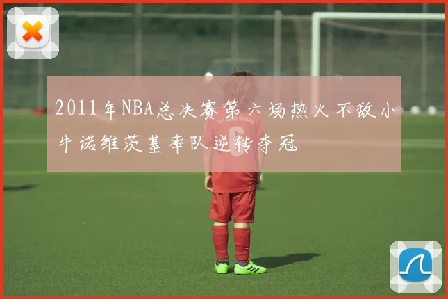 2011年NBA总决赛第六场热火不敌小牛诺维茨基率队逆转夺冠