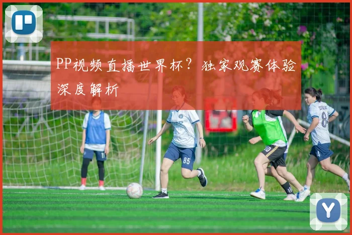 PP视频直播世界杯?独家观赛体验深度解析