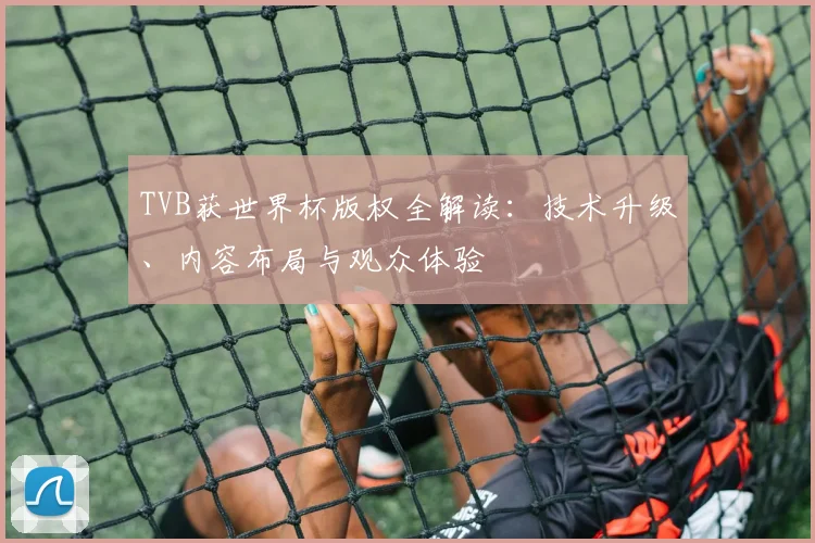 TVB获世界杯版权全解读:技术升级、内容布局与观众体验