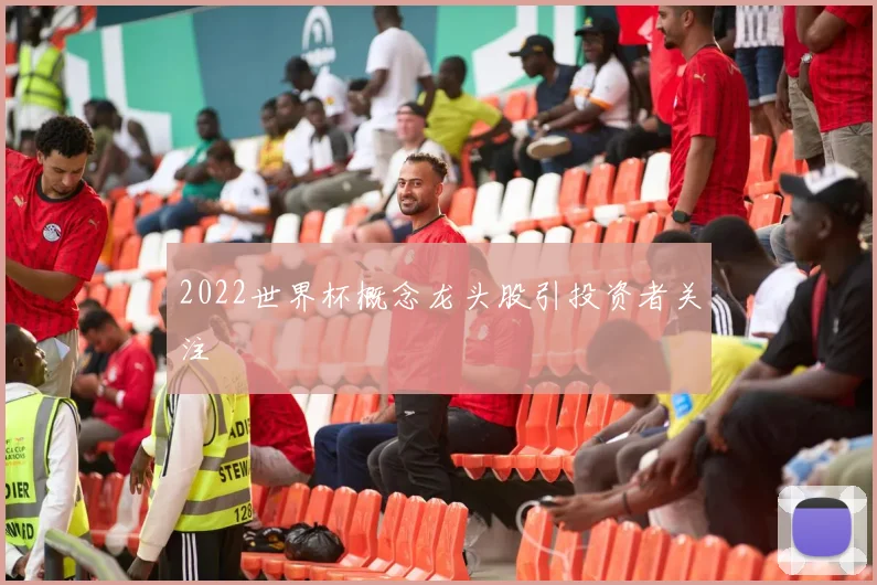 2022世界杯概念龙头股引投资者关注
