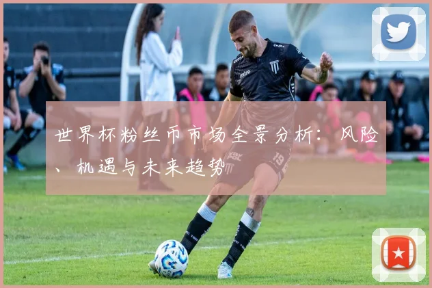 世界杯粉丝币市场全景分析：风险、机遇与未来趋势