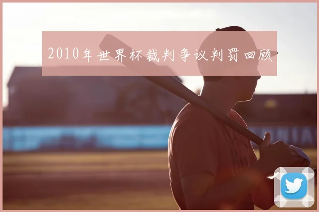 2010年世界杯裁判争议判罚回顾