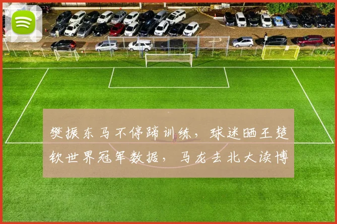樊振东马不停蹄训练,球迷晒王楚钦世界冠军数据,马龙去北大读博_1