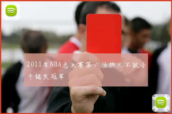 2011年NBA总决赛第六场热火不敌小牛错失冠军