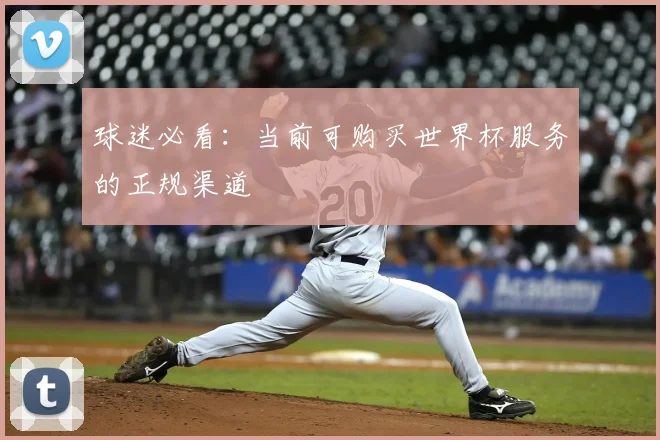 球迷必看:当前可购买世界杯服务的正规渠道