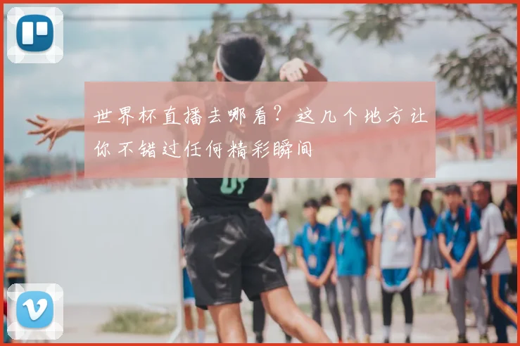 世界杯直播去哪看？这几个地方让你不错过任何精彩瞬间