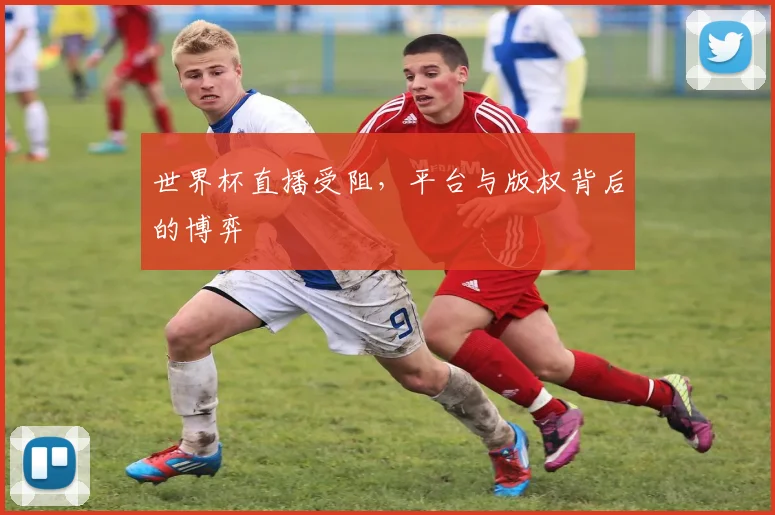 世界杯直播受阻,平台与版权背后的博弈
