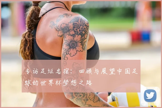专访足坛名宿：回顾与展望中国足球的世界杯梦想之路