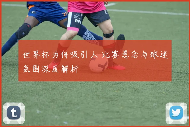 世界杯为何吸引人 比赛悬念与球迷氛围深度解析