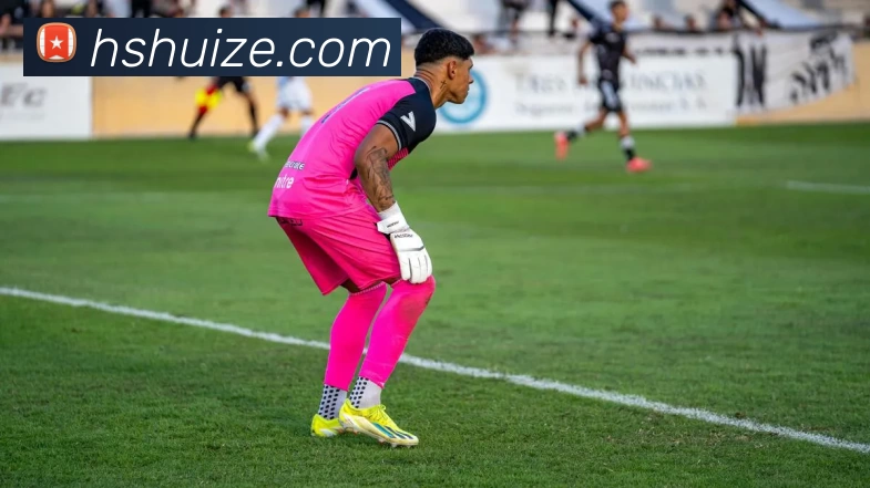 pp电子平台生态图